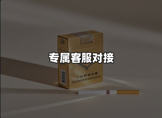 专业优势